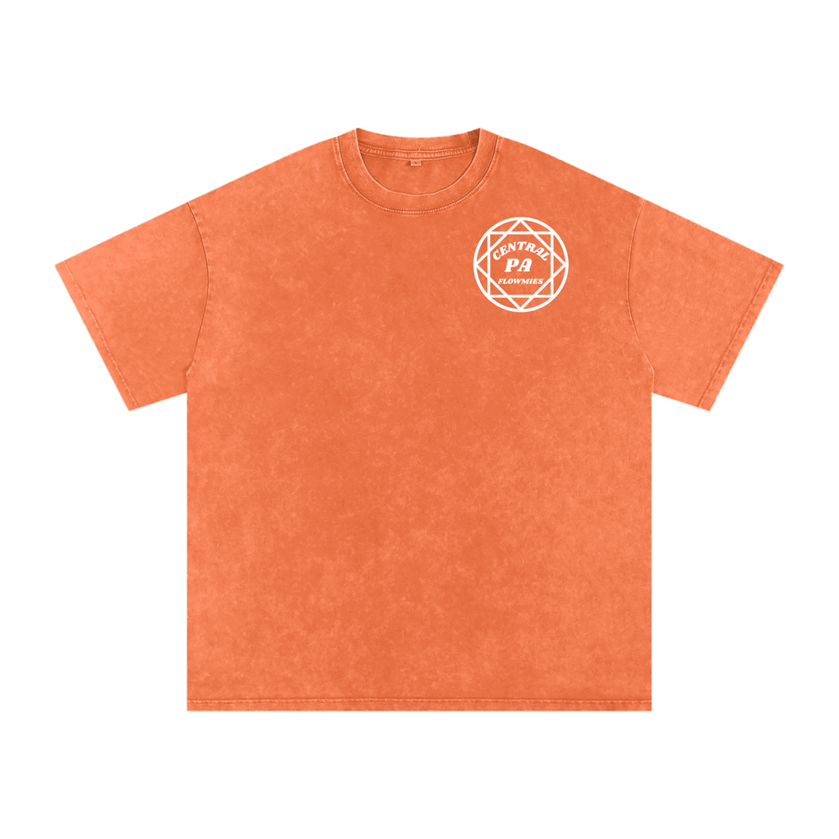 Snow Washed Oversized Cotton T-Shirt CPA WHITE LOGO