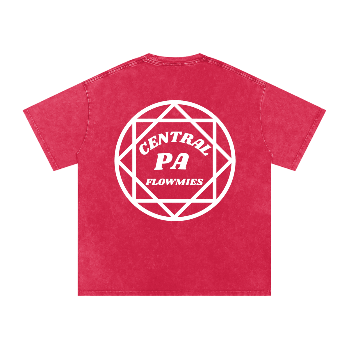 Snow Washed Oversized Cotton T-Shirt CPA WHITE LOGO