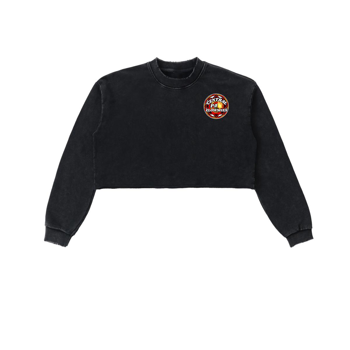 Snow Washed Raw Edge Cropped Sweatshirt CPA LOGO