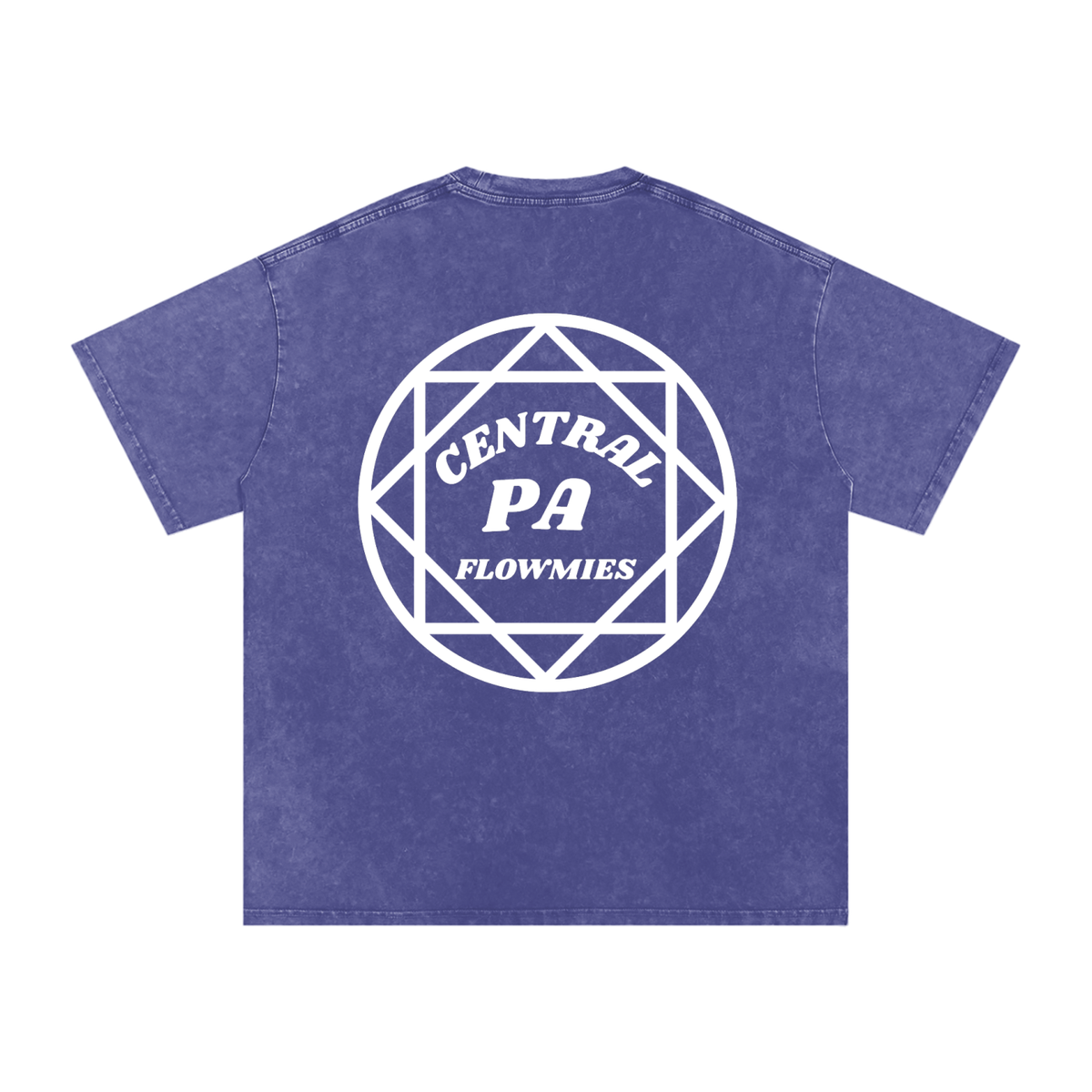 Snow Washed Oversized Cotton T-Shirt CPA WHITE LOGO