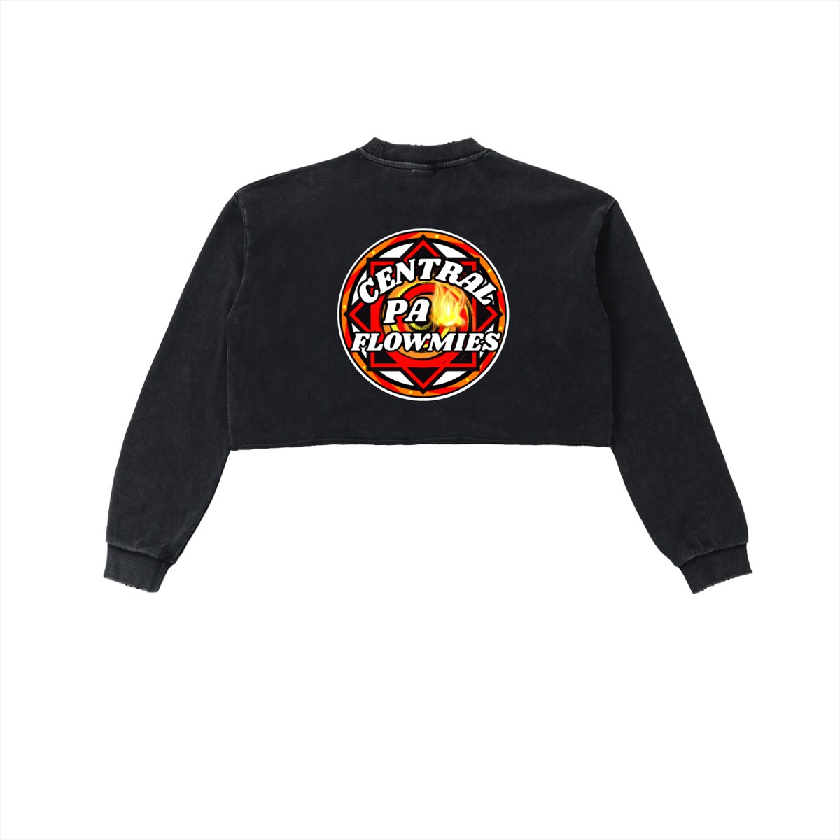 Snow Washed Raw Edge Cropped Sweatshirt CPA LOGO